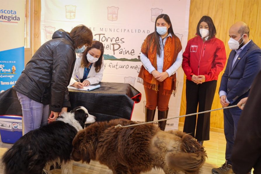Delegada presidencial Ericka Farías destaca finalización del programa de Tenencia Responsable de Mascotas en Torres del Paine