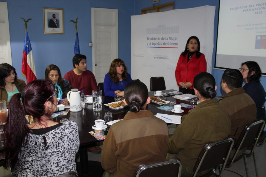 Con la participación de distintas organizaciones de mujeres e instituciones, comenzó el proceso de devolución de la actualización del Plan de Igualdad en Puerto Natales