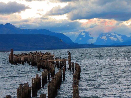 A través de fondos del Ministerio del Interior se implementará plan de acción para reforzar control de la influenza aviar en Puerto Natales